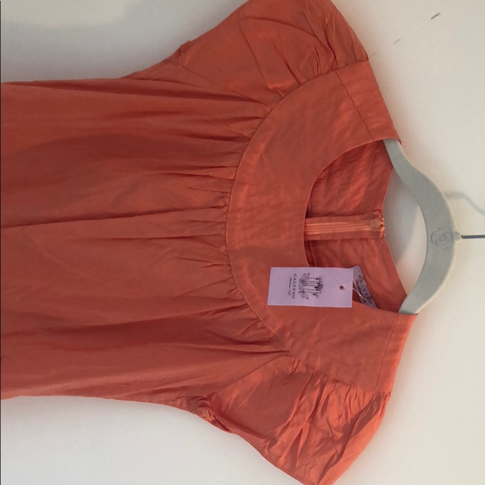 Calypso Pazzi Dress - Picture 2 of 4